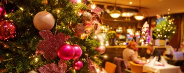 Hotel Emmen - Wildlands Kerst Arrangement 1 nacht