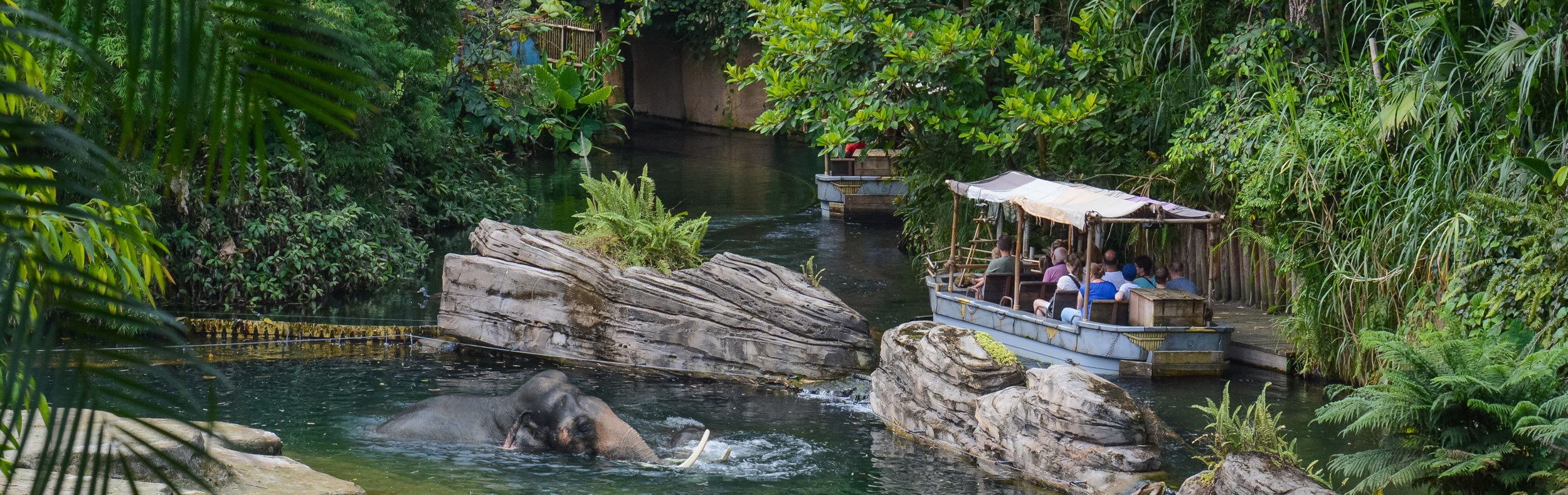 Wildlands Adventure Zoo Hotel Emmen