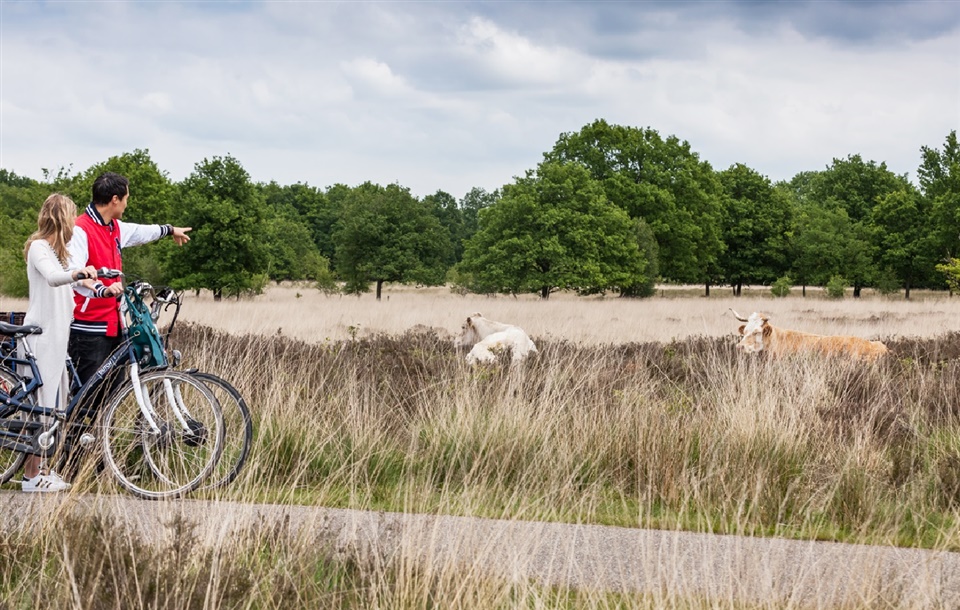 Van Der Valk Spier Wandelen